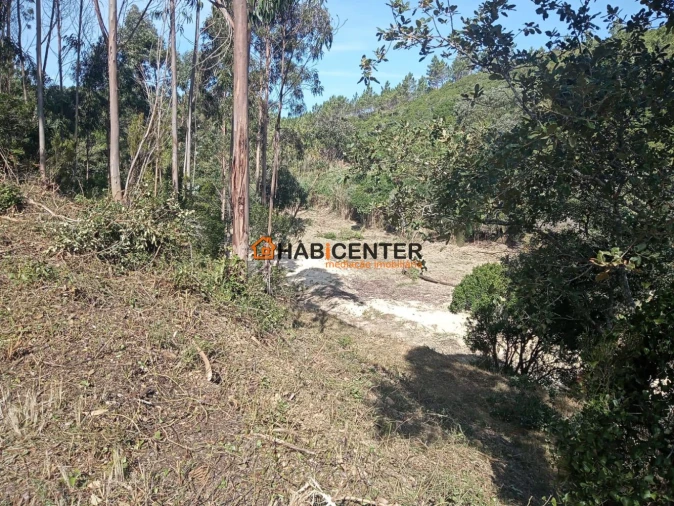 Terreno para Venda em Famalicão Foto 14