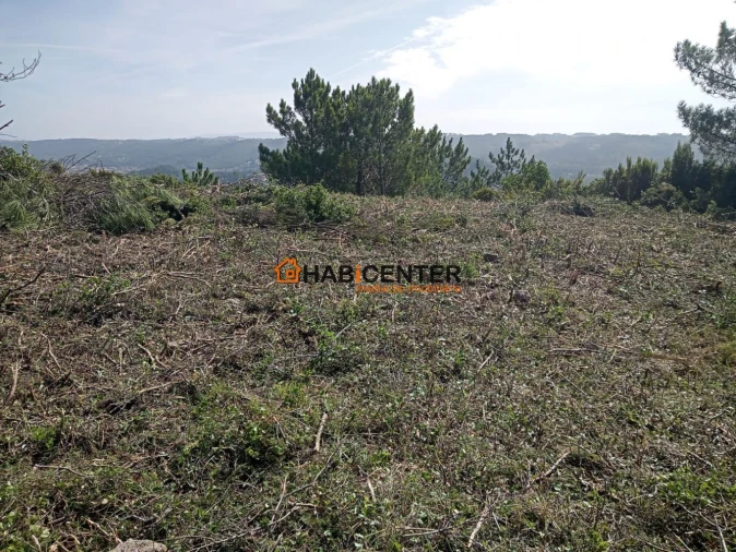 Terreno para Venda em Famalicão Foto 2