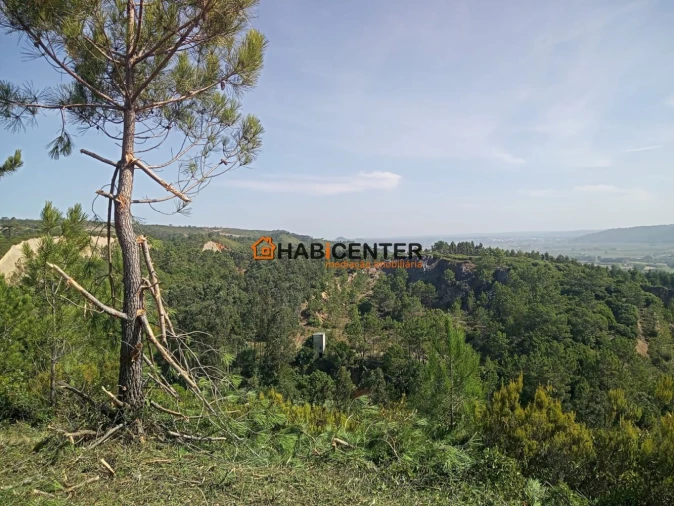 Terreno para Venda em Famalicão Foto 4