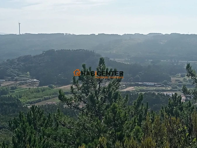 Terreno para Venda em Famalicão Foto 7