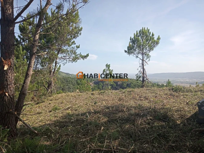 Terreno para Venda em Famalicão Foto 18