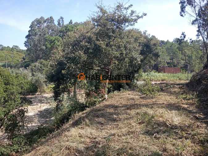 Terreno para Venda em Famalicão Foto 13