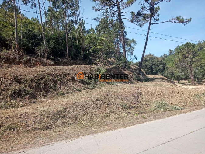Terreno para Venda em Famalicão Foto 3