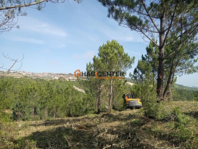 Terreno para Venda em Famalicão Foto 8
