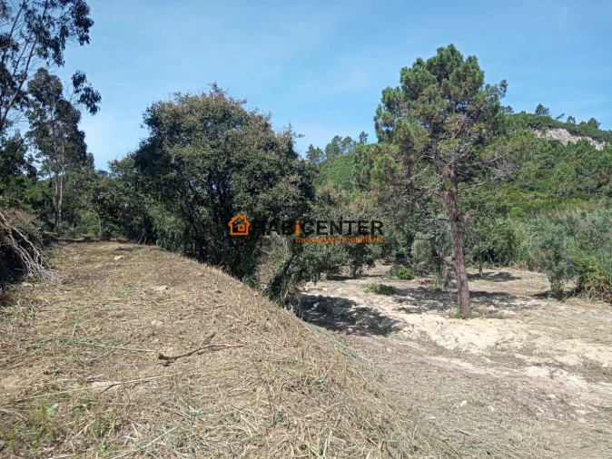 Terreno para Venda em Famalicão Foto 22