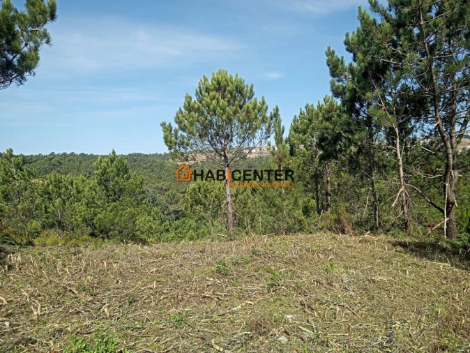Terreno para Venda em Famalicão