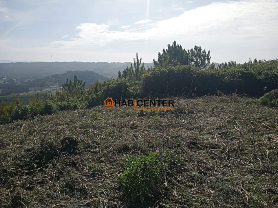 Terreno para Venda em Famalicão Foto 17