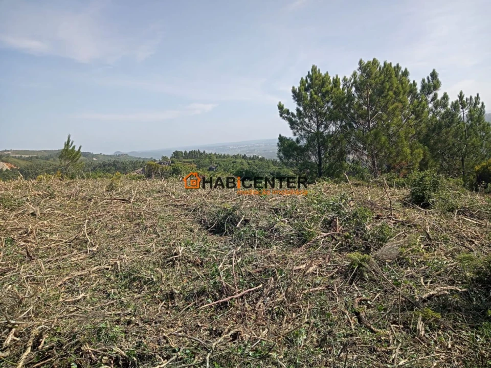 Terreno para Venda em Famalicão Foto 24