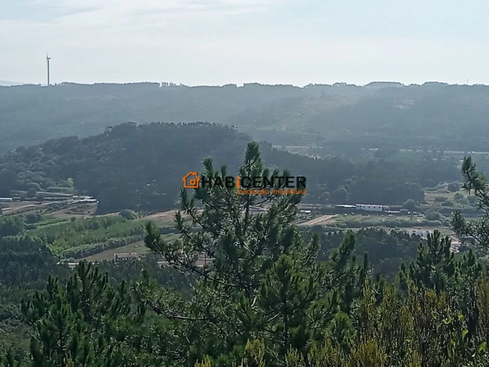 Terreno para Venda em Famalicão Foto 7