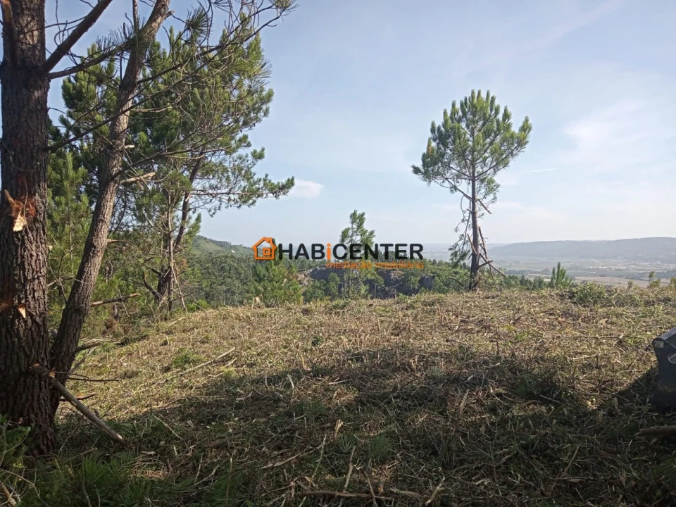 Terreno para Venda em Famalicão Foto 18