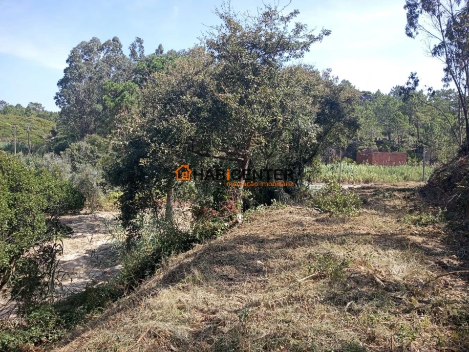 Terreno para Venda em Famalicão Foto 13