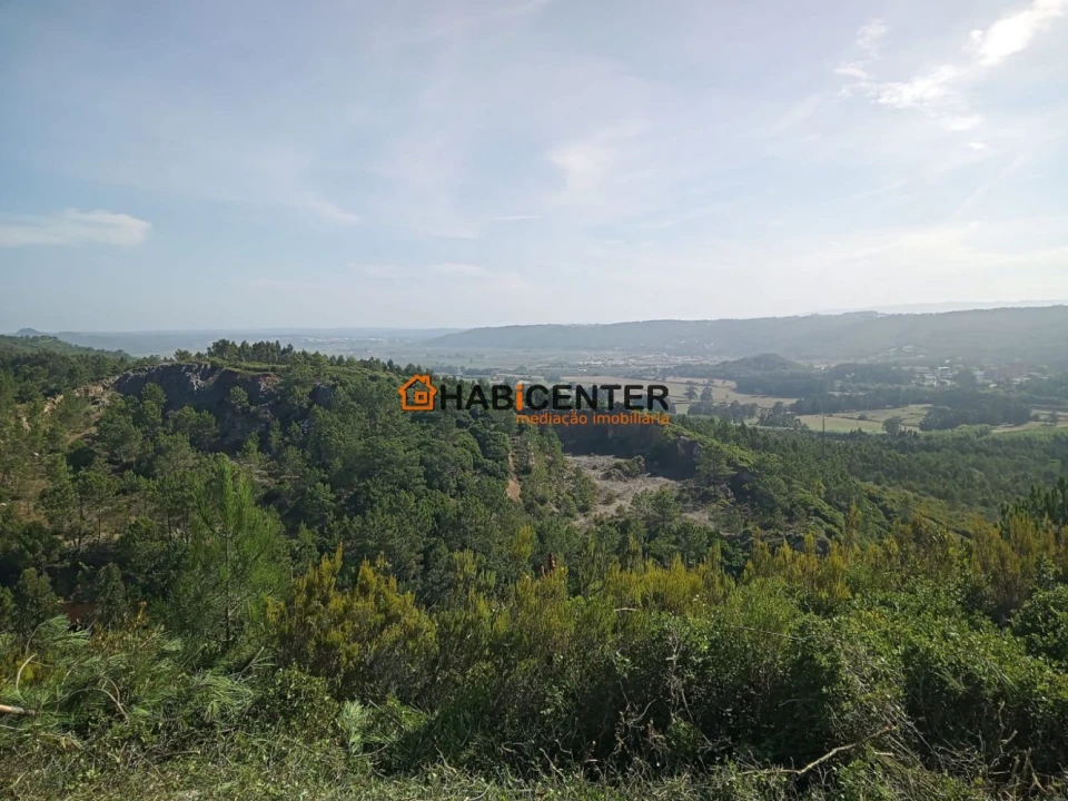 Terreno para Venda em Famalicão Foto 6