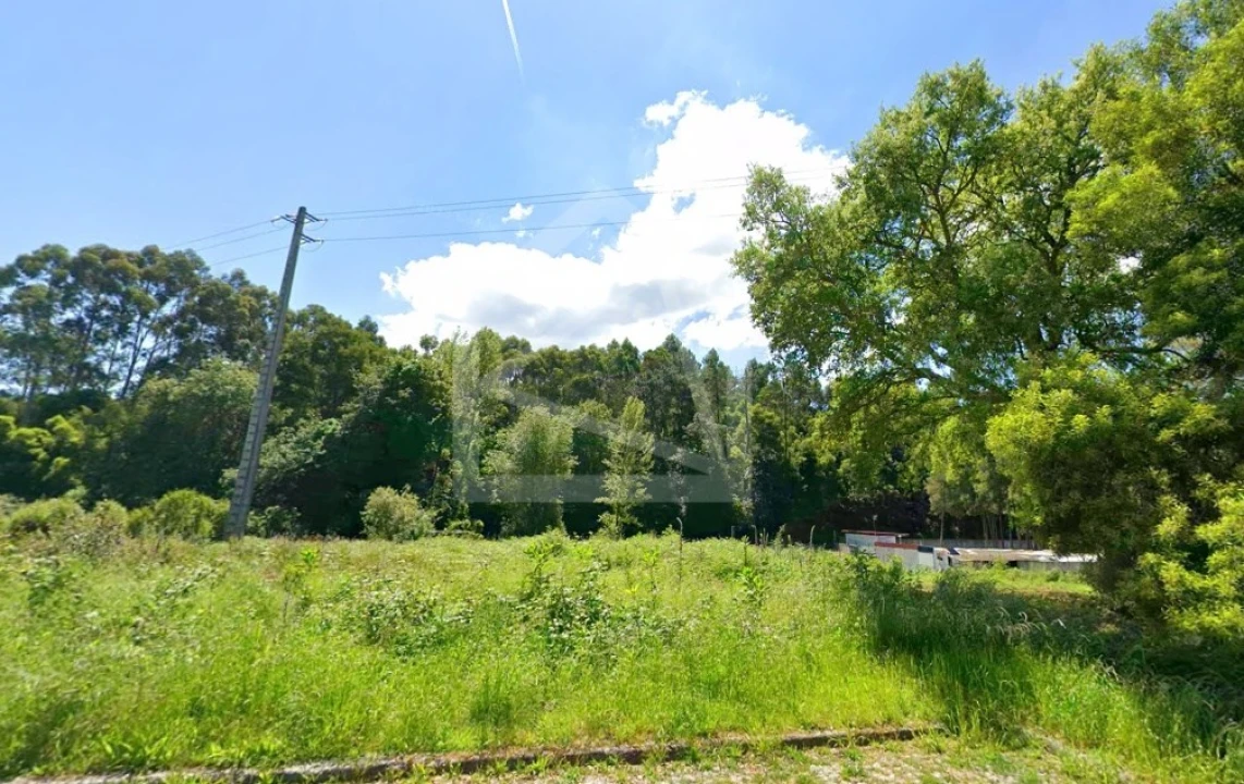 Terreno Agricola ou Rústico para Venda em Mozelos Foto 1