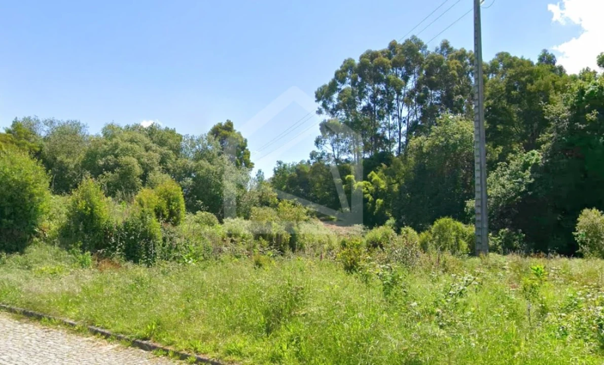 Terreno Agricola ou Rústico para Venda em Mozelos Foto 2