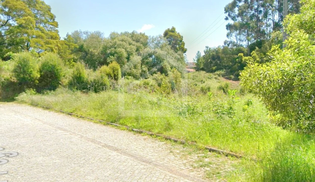 Terreno Agricola ou Rústico para Venda em Mozelos Foto 3