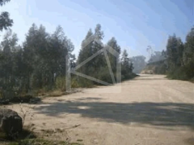 Terreno para Venda em Seroa Foto 2