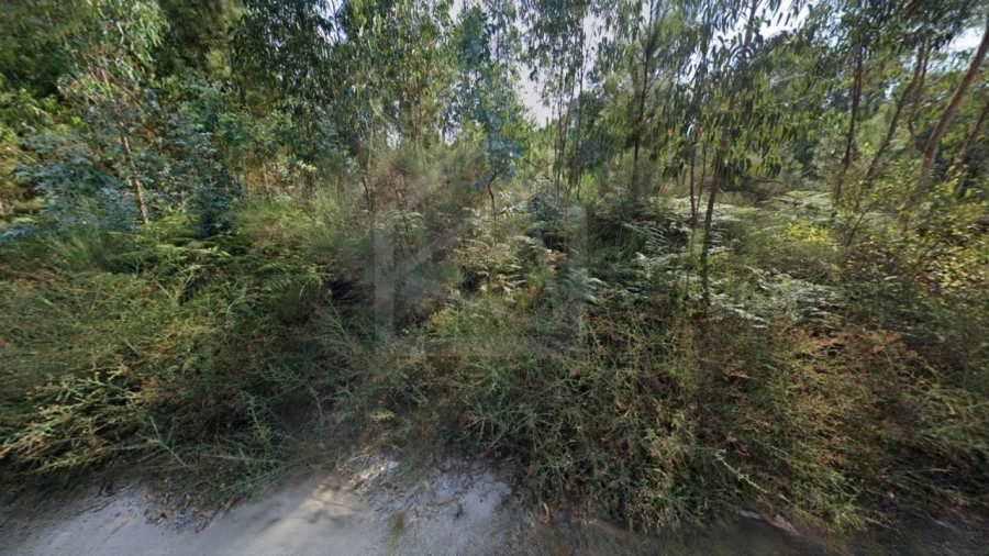 Terreno para Venda em Seroa Foto 4