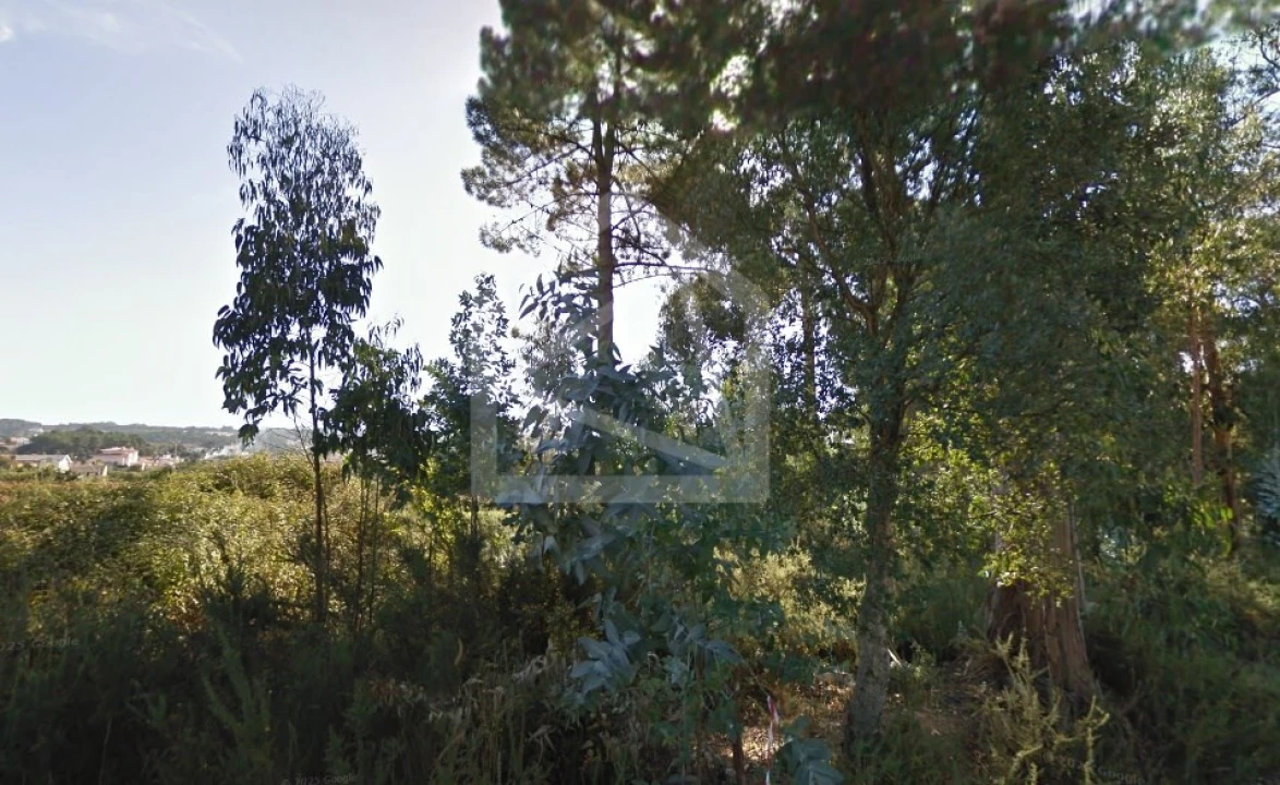 Terreno para Venda em Pinheiro da Bemposta, Travanca e Palmaz Foto 5
