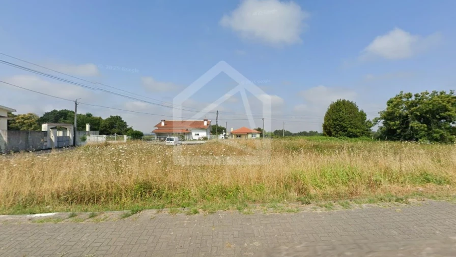 Terreno para Venda em Pinheiro da Bemposta, Travanca e Palmaz Foto 3