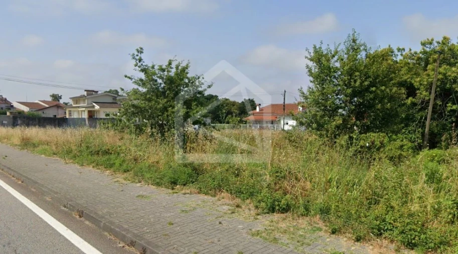 Terreno para Venda em Pinheiro da Bemposta, Travanca e Palmaz Foto 6