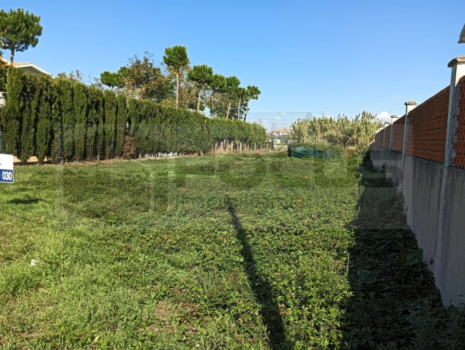 Terreno para Venda em Ílhavo (São Salvador) Foto 5