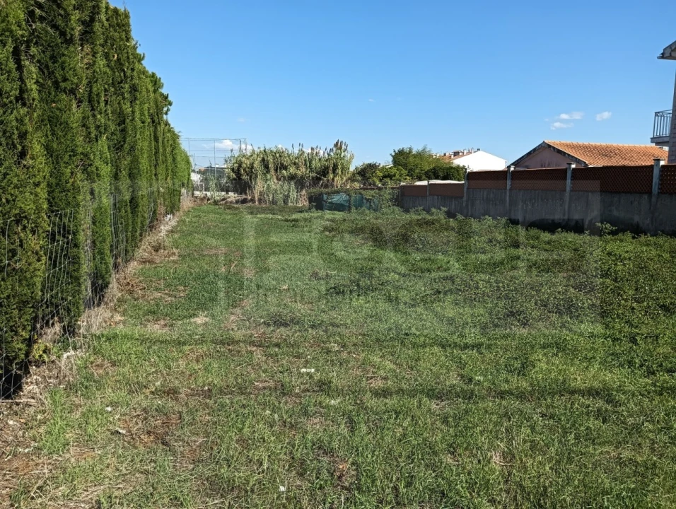 Terreno para Venda em Ílhavo (São Salvador) Foto 7