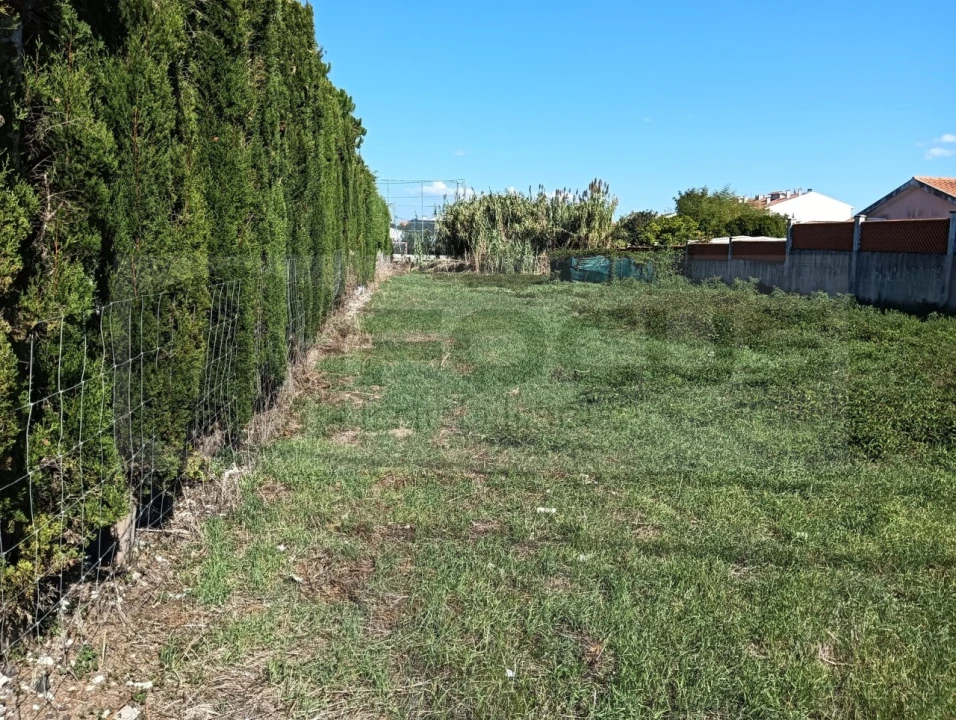 Terreno para Venda em Ílhavo (São Salvador) Foto 15