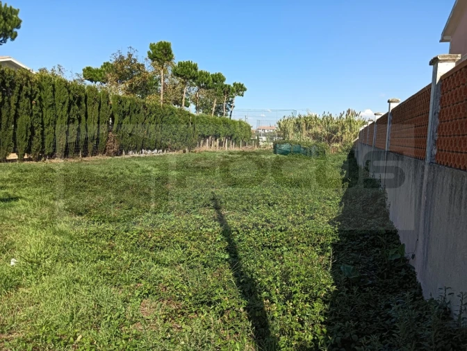 Terreno para Venda em Ílhavo (São Salvador) Foto 6