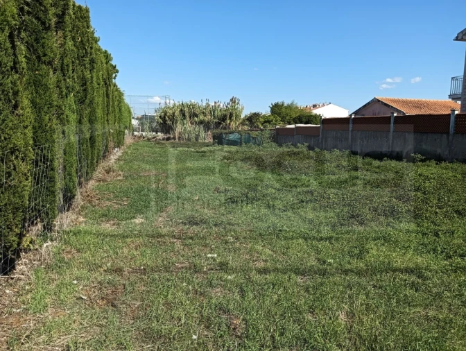 Terreno para Venda em Ílhavo (São Salvador) Foto 7