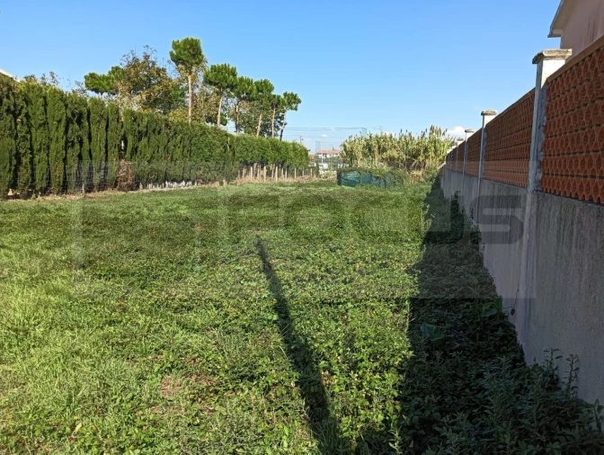 Terreno para Venda em Ílhavo (São Salvador) Foto 12