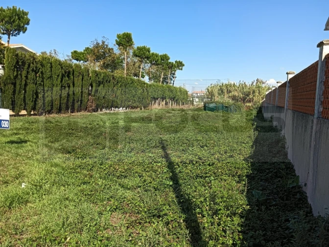 Terreno para Venda em Ílhavo (São Salvador) Foto 13