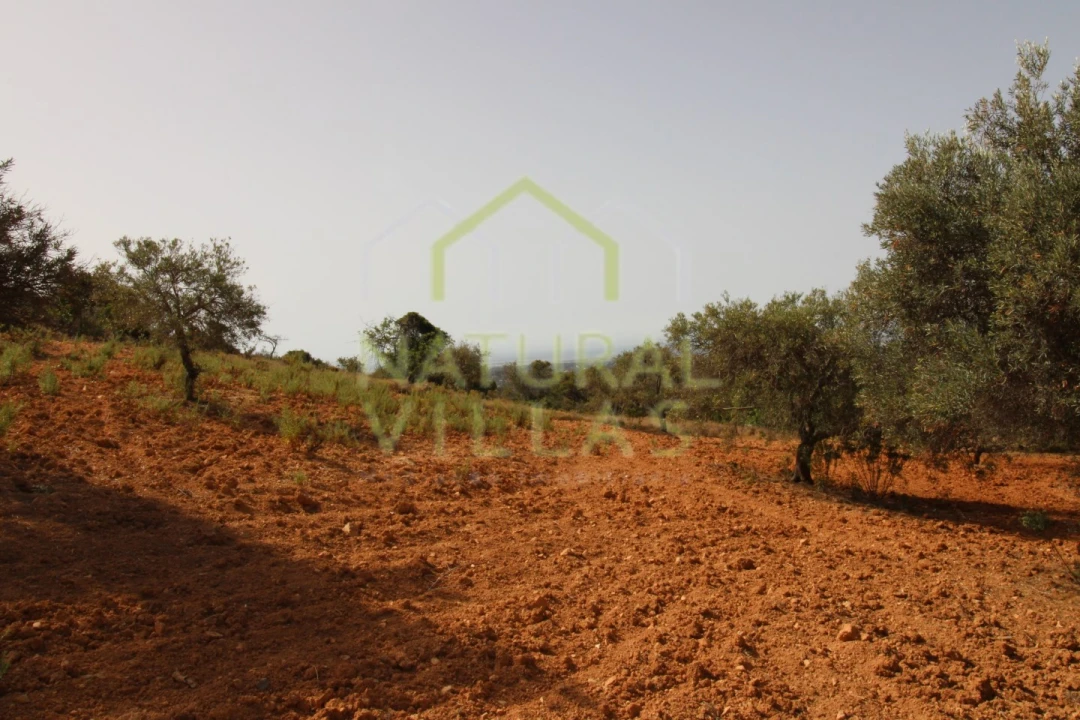 Terreno Agricola ou Rústico para Venda em Conceição e Estoi Foto 2