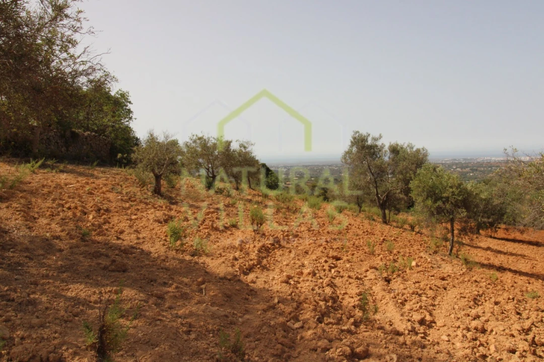 Terreno Agricola ou Rústico para Venda em Conceição e Estoi Foto 6