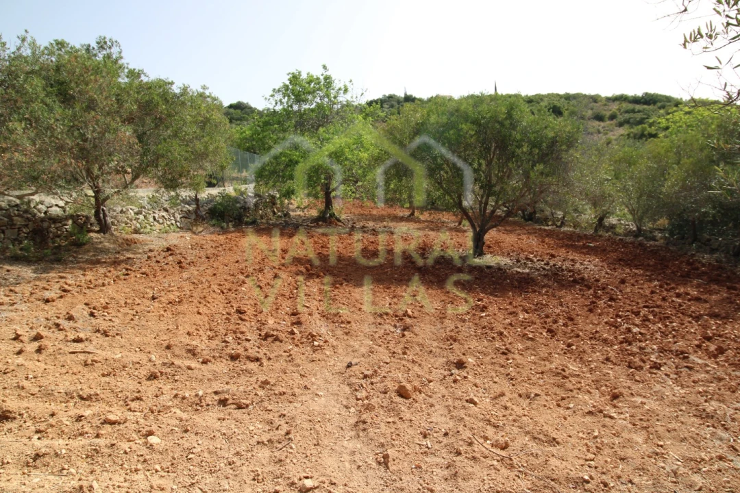 Terreno Agricola ou Rústico para Venda em Conceição e Estoi Foto 7