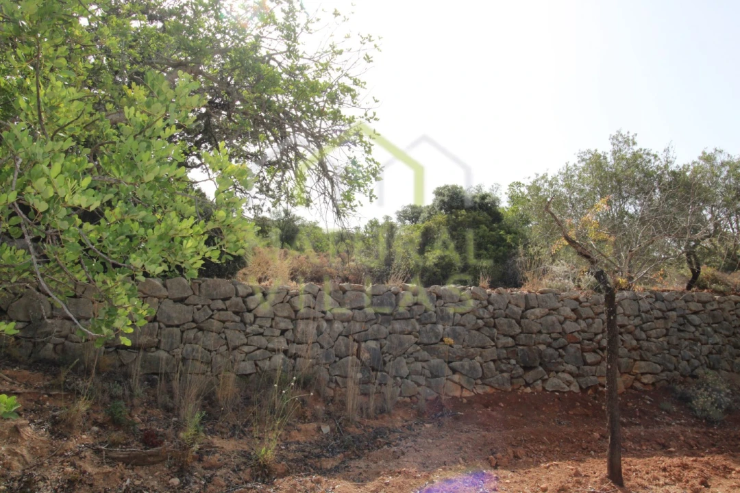 Terreno Agricola ou Rústico para Venda em Conceição e Estoi Foto 4