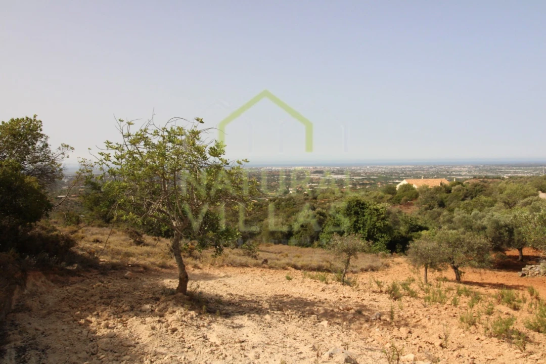 Terreno Agricola ou Rústico para Venda em Conceição e Estoi Foto 9