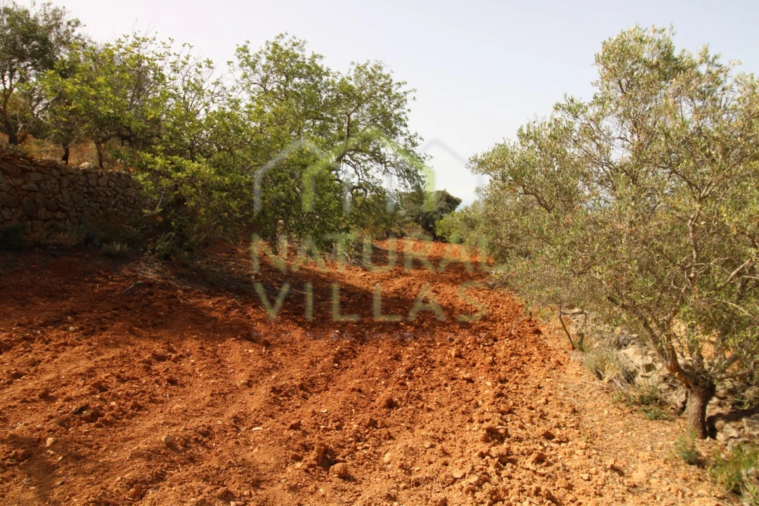 Terreno Agricola ou Rústico para Venda em Conceição e Estoi Foto 8