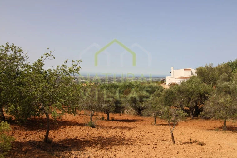 Terreno Agricola ou Rústico para Venda em Conceição e Estoi Foto 1