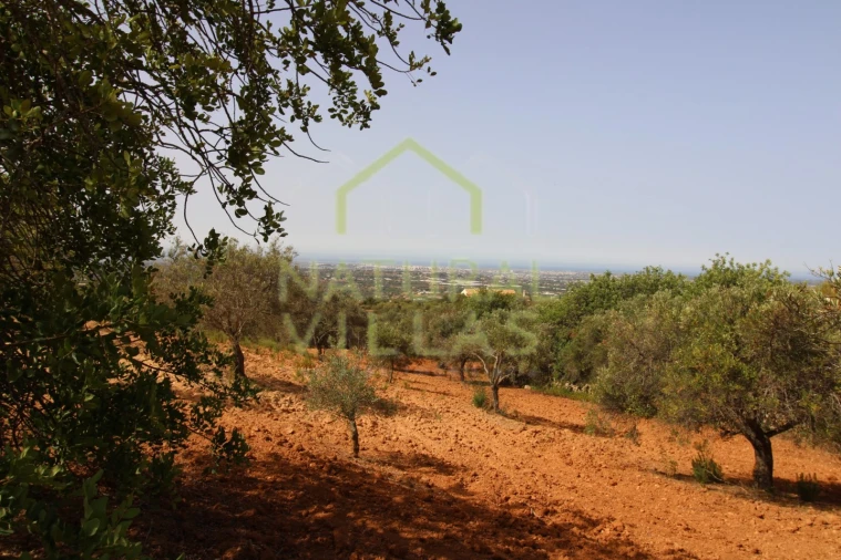 Terreno Agricola ou Rústico para Venda em Conceição e Estoi Foto 10