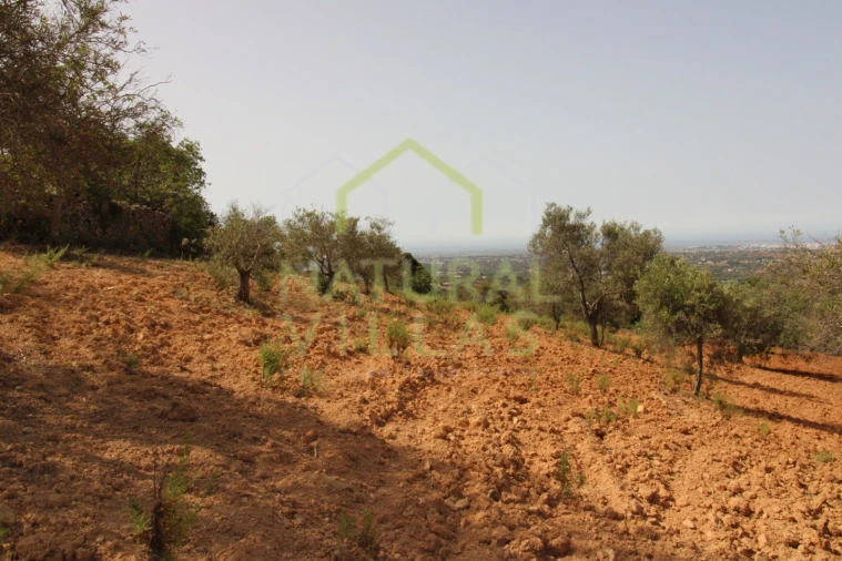 Terreno Agricola ou Rústico para Venda em Conceição e Estoi Foto 5