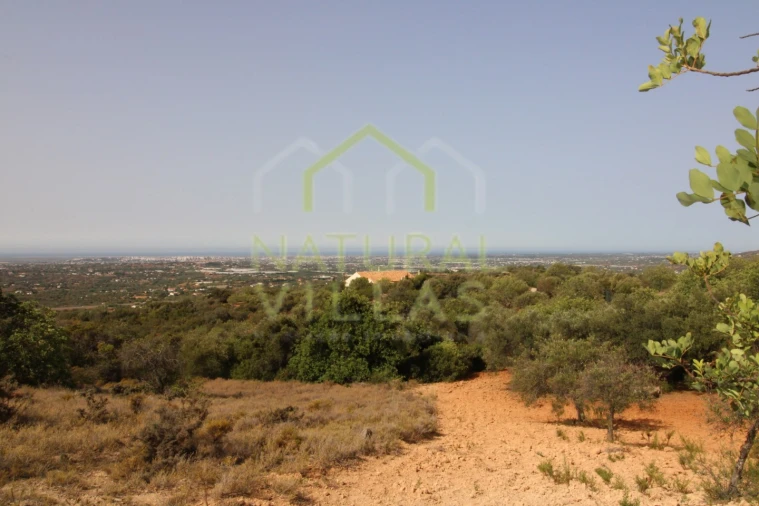 Terreno Agricola ou Rústico para Venda em Conceição e Estoi Foto 4