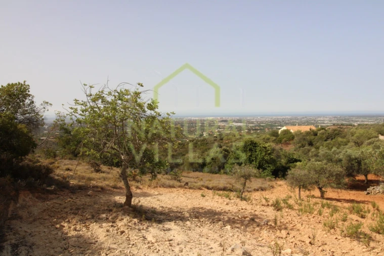 Terreno Agricola ou Rústico para Venda em Conceição e Estoi Foto 9