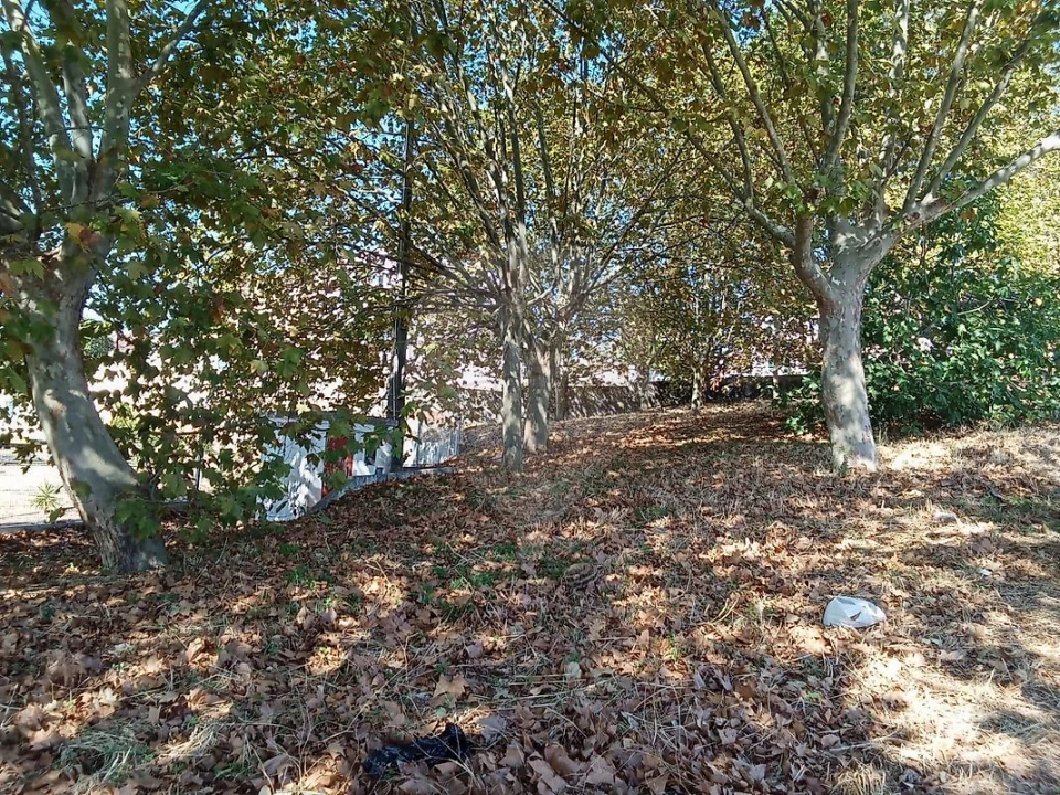 Terreno para Venda em Loures Foto 5