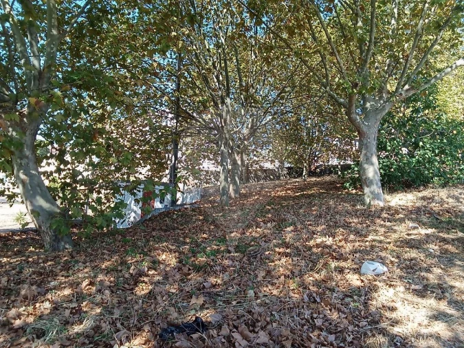 Terreno para Venda em Loures Foto 5