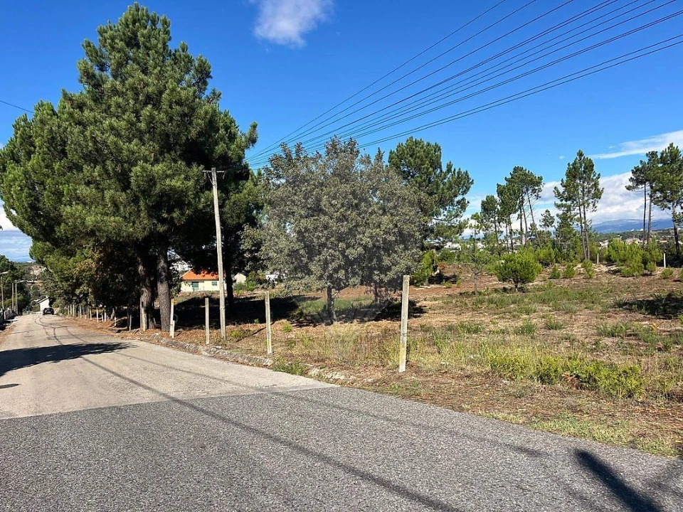 Terreno para Venda em Nogueira do Cravo Foto 2