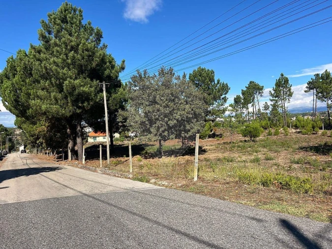 Terreno para Venda em Nogueira do Cravo Foto 2