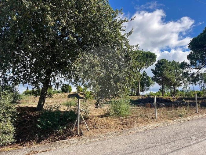 Terreno para Venda em Nogueira do Cravo Foto 3
