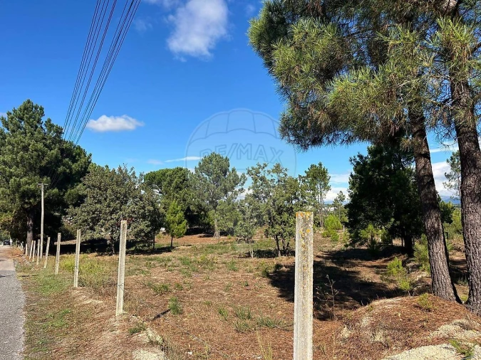 Terreno para Venda em Nogueira do Cravo Foto 8