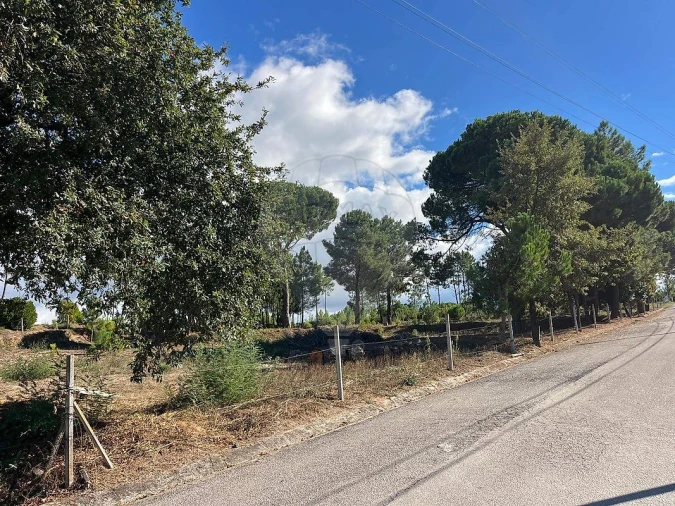 Terreno para Venda em Nogueira do Cravo Foto 5