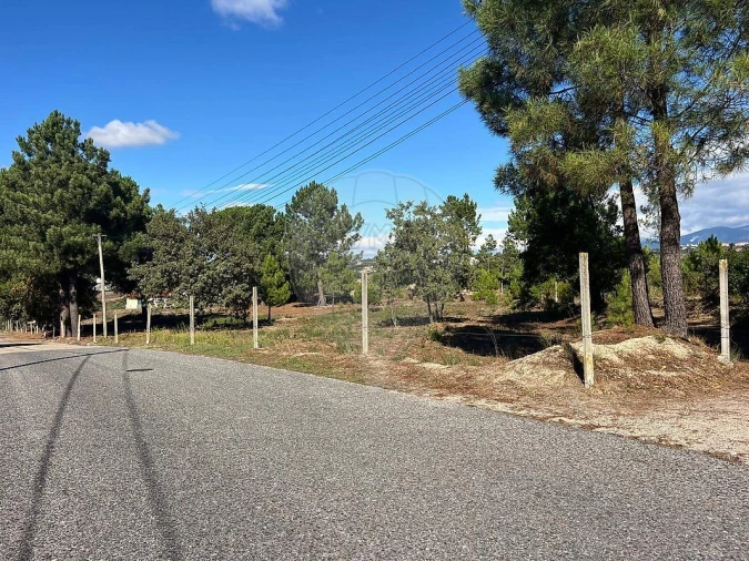 Terreno para Venda em Nogueira do Cravo Foto 6
